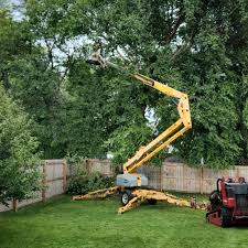 Best Tree Risk Assessment  in Mountain Lodge Park, NY